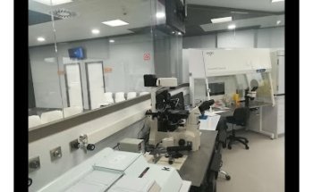 Ginemed Clinics Huelva